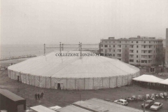 CIRCO
