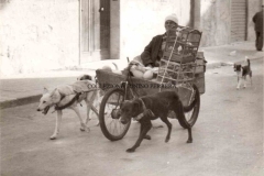 SALVATORE-FIGLIOMENI-U-ZU-TOTO