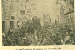 edili-1963