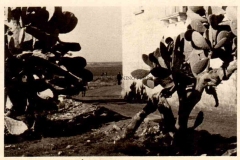 1943-AEROPORTO-DI-CHINISIA-11