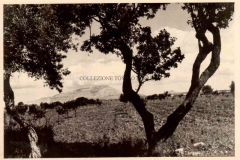 1943-AEROPORTO-DI-CHINISIA-7