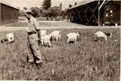 1941-AEROPORTO-MILITARE-DI-MILO-47