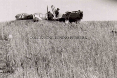 1943-AEROPORTO-MILITARE-DI-MILO-19