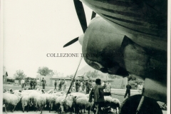 1943-AEROPORTO-MILITARE-DI-MILO-2