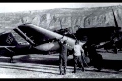 MILO-11