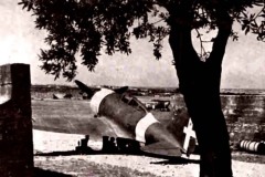 MILO-27