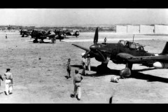 MILO-28