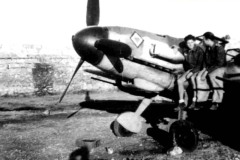 MILO-36