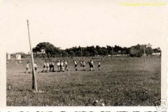 MILO-43idem