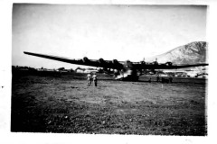 MILO-8