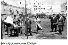 spaltisalto-in-alto