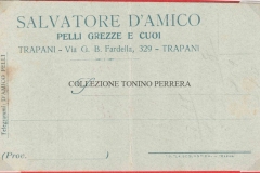 D-AMICO