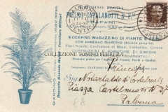 GIARDINO-FLORA-DI-P.CATALANOTTI
