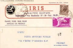 IRIS-DI-MALTESE