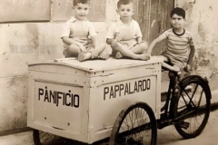 pappalardo-via-cortina