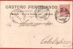 CASTORO