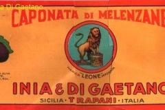 INIA-E-DI-GAETANO-4