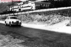 FOTO-LA-CORTE-65.JPG