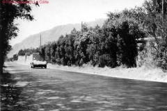 FOTO-LA-CORTE-66.JPGscansione0038