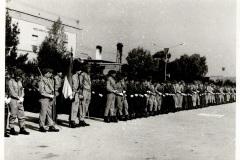 1968-1