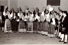 1_CORO-DELLE-EGADI-3