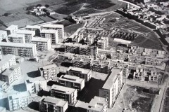 RIONE-PALME