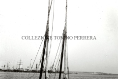SCHIFAZZO-1