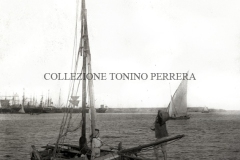 SCHIFAZZO-2