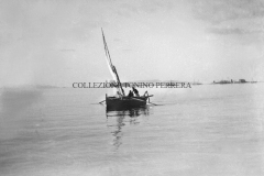 SCHIFAZZO-3