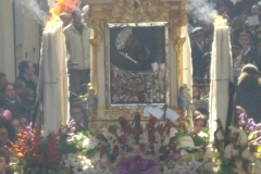 IMGP0170