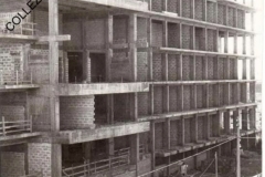 1973-tribunake