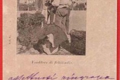 VENDITORE-DI-FICHIDINDIA