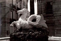 PIAZZA-LUCATELLI-2