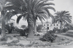 PIAZZA-VITTORIO-EMANUELE-S.E.-2