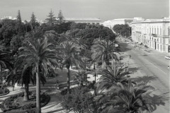 PIAZZA-VITTORIO-EMANUELE-S.E.-4