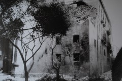 CICCIO-TERMINI-4