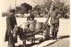 1941-TRAPANI-2