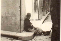 1941-TRAPANI-4