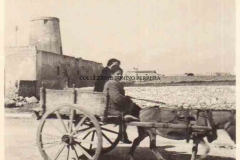 1941-TRAPANI-6