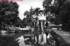 FOTO-LA-CORTE-89