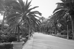 VILLA-MARGHERITA-S.E.-1