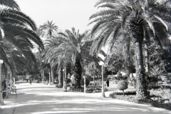 VILLA-MARGHERITA-S.E.-2
