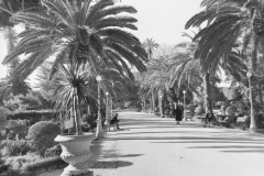 VILLA-MARGHERITA-S.E.-3