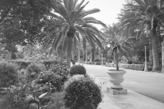 VILLA-MARGHERITA-S.E.-4