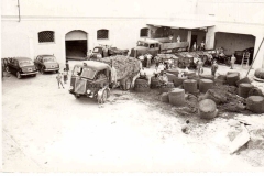 STABILIMENTO-PILOCANE-2