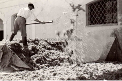 STABILIMENTO-PILOCANE-5